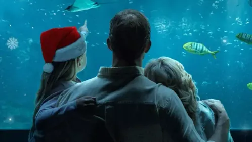 Boulogne: Nausicaà organise son mer-veilleux marché de Noël ce...