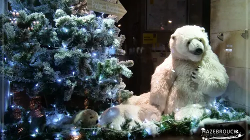 Début de "Hazebrouck s'illumine" ce vendredi soir