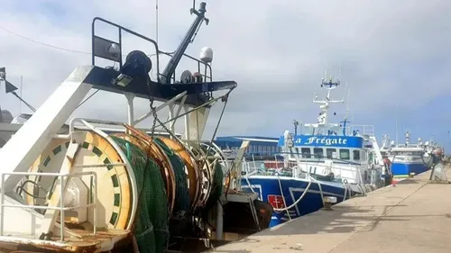 Pêche dans la Région, Boulogne-sur-Mer, Calais, Dunkerque : Xavier...