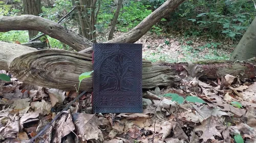 Maison du Marais de Saint-Martin-lez-Tatinghem : dernier spectacle...