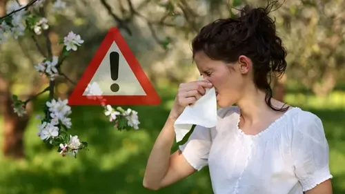 Le Nord et le Pas-de-Calais en alerte rouge pollution pollens