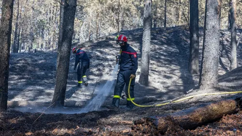 Incendies entre Dannes et Neufchâtel-Hardelot, situation plutôt...