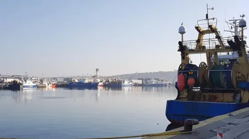 Côte d'Opale : nouveaux quotas de pêche en mer sous fond de tension