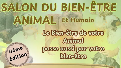 Watten : Salon du bien-être Animal et Humain les 12 et 13 septembre