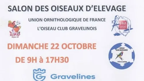 Le Salon des Oiseaux d'Elevage ce week-end à Gravelines