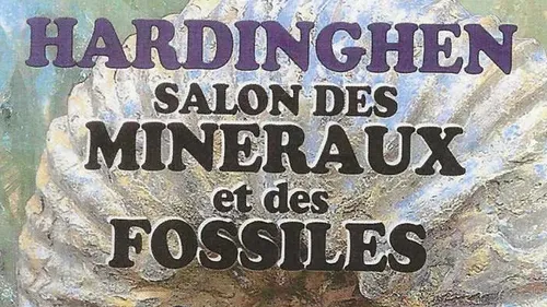 Le Salon des Minéraux et des Fossiles revient ce week-end Pascal à...
