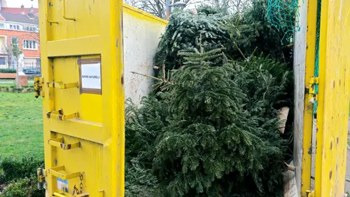 Dunkerquois : Collecte de sapins, de cartons... Les bons plans pour...