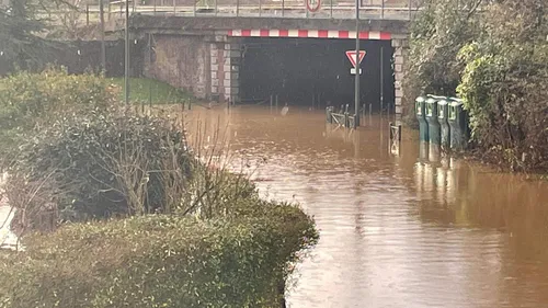 Rink-hockey : Le SCRA Saint-Omer contraint d'annuler toutes ses...