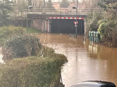 Rink-hockey : Le SCRA Saint-Omer contraint d'annuler toutes ses...