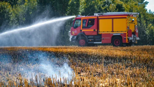 Condette : un feu de camp provoque un incendie dans la forêt d'Écault 
