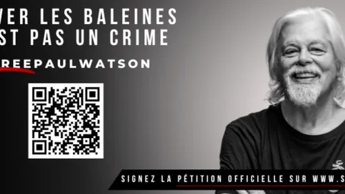 Dunkerque : Manifestation en soutien de Paul Watson de Sea Sheperd,...