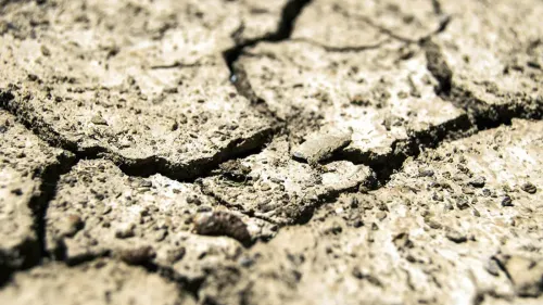 Bergues, Hoymille et Hazebrouck reconnues en état de catastrophe...