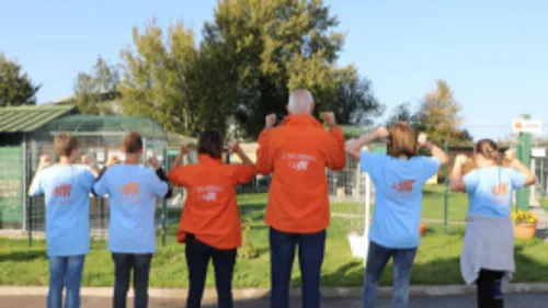 La SPA de Saint-Omer cherche son futur encadrant 