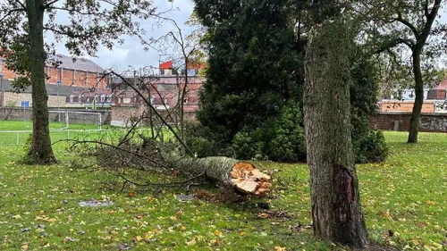 Le bilan de la tempête Austen dans la Région