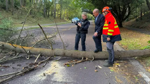 Cinq arbres sont tombés au Touquet ce week-end