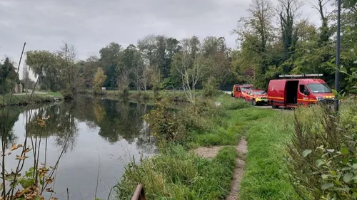 Une pollution dans le canal de Coulogne sur plus d'un kilomètre