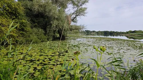 Clairmarais / Saint-Omer : c’est le moment de découvrir la faune et...