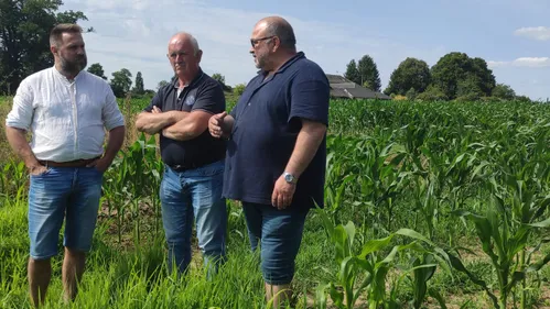 En Mayenne, les agriculteurs sont excédés par les dégâts causés par...