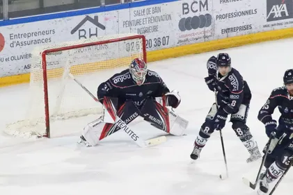 Hockey sur glace. Les Ducs d'Angers à la quête de la Coupe Magnus
