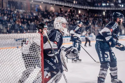 Ligue Magnus. Première défaite de la saison pour les Ducs d'Angers...
