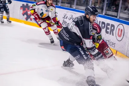 Ligue Magnus. Face aux Jokers, les Ducs d'Angers veulent éviter la...