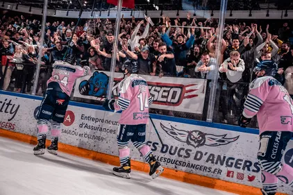 Ligue Magnus. Les Ducs d'Angers veulent rester souverains à domicile