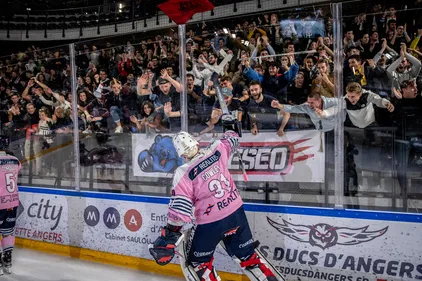 Les Ducs d'Angers se découvrent de nouveaux supporters