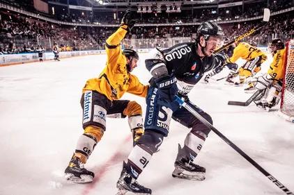 Ligue Magnus, demi-finales: les Ducs d'Angers au bord du gouffre