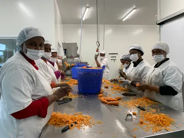 En Mayenne. Un cercle vertueux entre insertion professionnelle et...