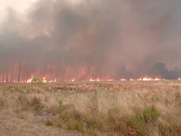 Incendie en Gironde. « Dire qu'on n'a pas eu peur, ce n'est pas...