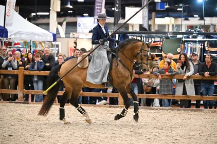 Angers. Bien-être animal, voltige et sauts d'obstacles au cœur du...