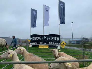 Mercosur. Devant une concession auto, la Conf' paysanne dénonce le...
