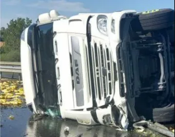 Saint-Berthevin : un camion d’équarrissage se renverse sur la rocade