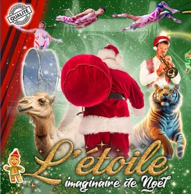 Laval : Plongez dans le rêve magique de Noël avec le grand cirque...