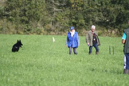 Château-Gontier. Le club canin accueille un concours national de...