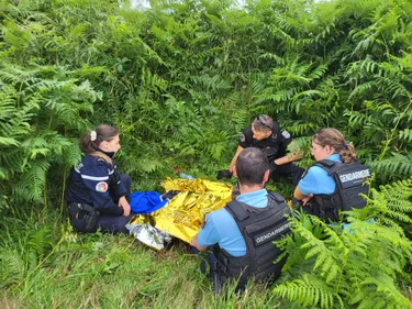 En Mayenne. Un couple de personnes âgées retrouvé épuisé, mais sain...