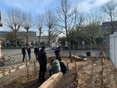 Angers. L'école Sacré Coeur de la Madeleine transforme sa cours en...