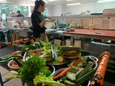  Doué la Fontaine. Dans les coulisses de la cuisine du Bioparc