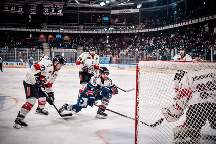 Les Ducs d'Angers de retour à l'IceParc face à Bordeaux