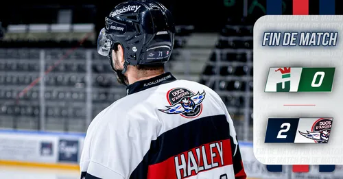 Deux victoires en deux matchs pour les Ducs d'Angers