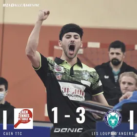 Tennis de table: les Loups d'Angers champions de France 