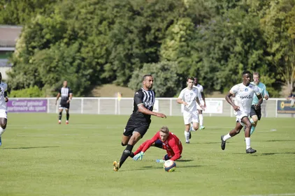Le Sporting Portugal, premier vrai test pour le Sco de Gérald Baticle