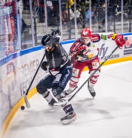 Ligue Magnus, finale: à domicile, les Ducs d'Angers veulent prendre...