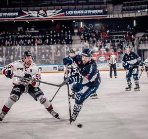 Les Ducs d'Angers déjà en mode playoffs