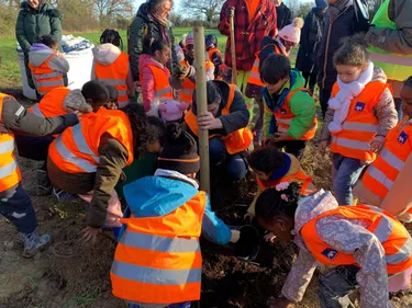 Laval. Les premiers arbres fruitiers plantés à la ferme urbaine