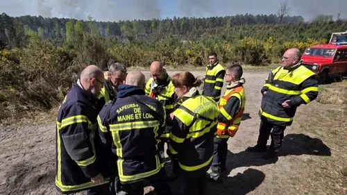 Dans le Saumurois. Un temps contenu, le feu de forêt a repris