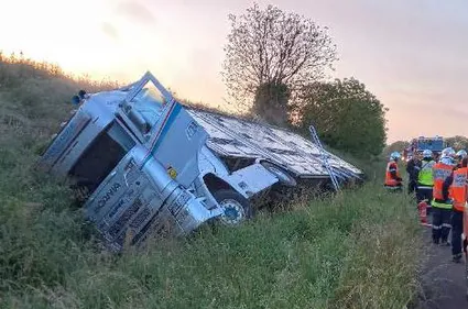 En Mayenne. Un camion de bétail couché, l'autoroute A81...