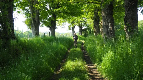 En Mayenne. La randonnée de 104 km autour du Mont des Avaloirs...