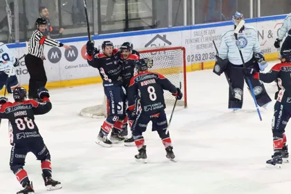 Hockey sur glace : derniers mouvements chez les Ducs d'Angers