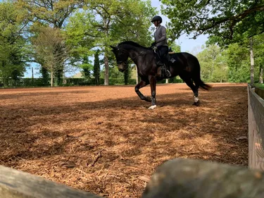 Lion d'Angers. Une carrière 100 % bois à l'Isle Briand, « la...